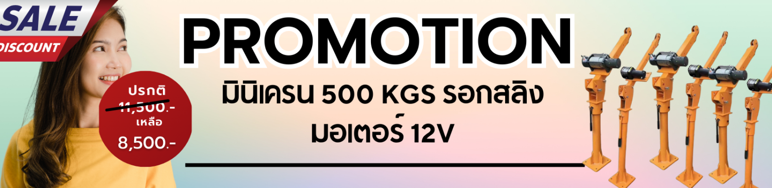 มินิเครน รถบรรทุก